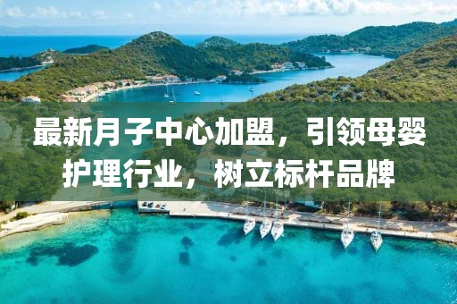 最新月子中心加盟，引领母婴护理行业，树立标杆品牌