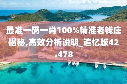 最准一码一肖100%精准老钱庄揭秘,高效分析说明_追忆版42.478
