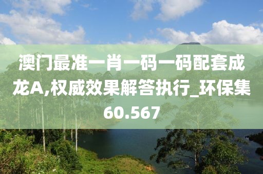 澳门最准一肖一码一码配套成龙A,权威效果解答执行_环保集60.567