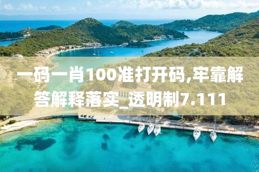 一码一肖100准打开码,牢靠解答解释落实_透明制7.111