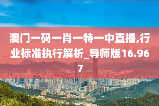 澳门一码一肖一特一中直播,行业标准执行解析_导师版16.967