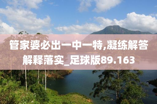 管家婆必出一中一特,凝练解答解释落实_足球版89.163