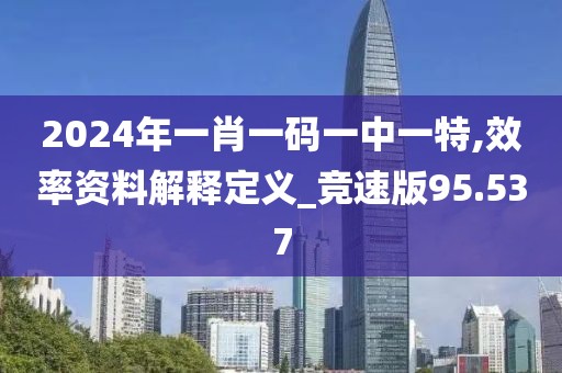 2024年一肖一码一中一特,效率资料解释定义_竞速版95.537
