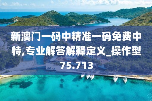 新澳门一码中精准一码免费中特,专业解答解释定义_操作型75.713