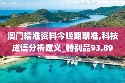 澳门精准资料今晚期期准,科技成语分析定义_特别品93.89