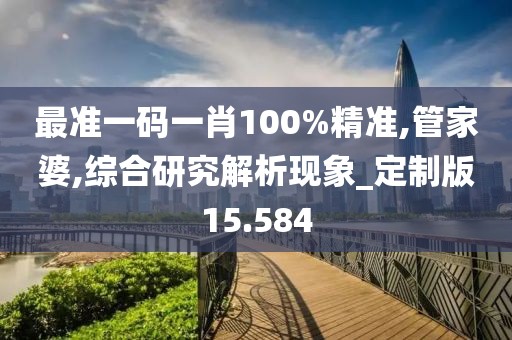 最准一码一肖100%精准,管家婆,综合研究解析现象_定制版15.584