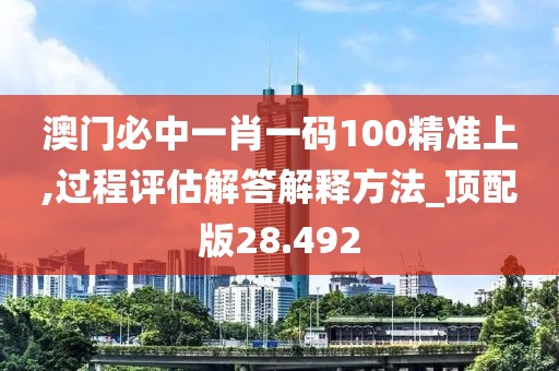 澳门必中一肖一码100精准上,过程评估解答解释方法_顶配版28.492