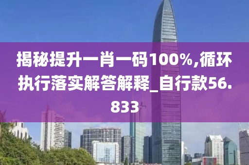 揭秘提升一肖一码100%,循环执行落实解答解释_自行款56.833