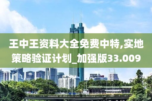 王中王资料大全免费中特,实地策略验证计划_加强版33.009