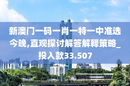 新澳门一码一肖一特一中准选今晚,直观探讨解答解释策略_投入款33.507