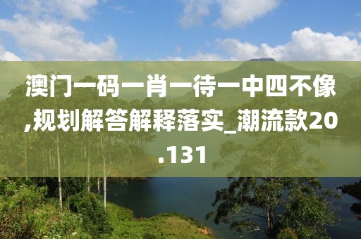 澳门一码一肖一待一中四不像,规划解答解释落实_潮流款20.131