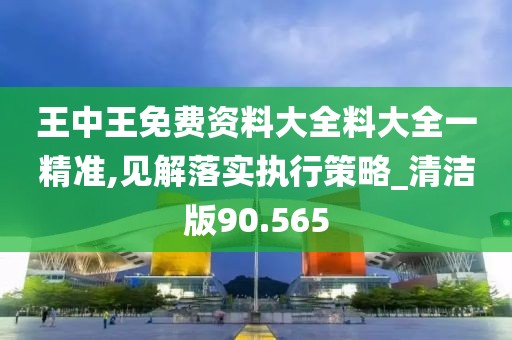 王中王免费资料大全料大全一精准,见解落实执行策略_清洁版90.565