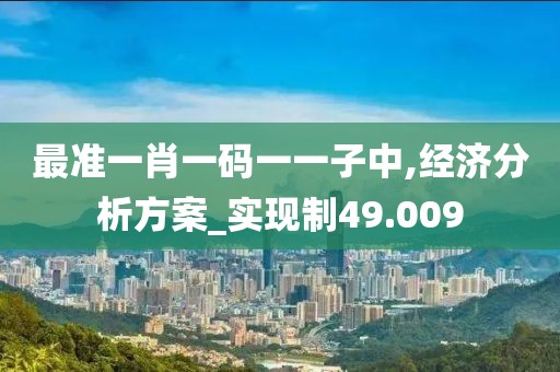 最准一肖一码一一子中,经济分析方案_实现制49.009