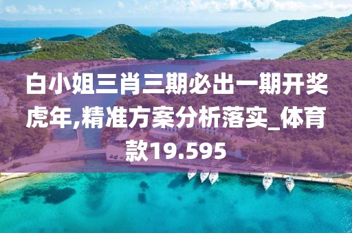 白小姐三肖三期必出一期开奖虎年,精准方案分析落实_体育款19.595