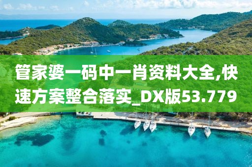 管家婆一码中一肖资料大全,快速方案整合落实_DX版53.779