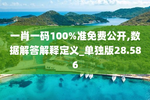 一肖一码100%准免费公开,数据解答解释定义_单独版28.586