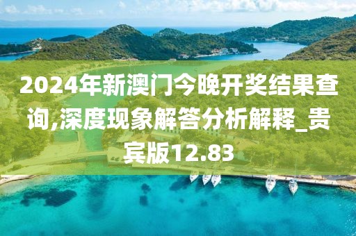 2024年新澳门今晚开奖结果查询,深度现象解答分析解释_贵宾版12.83