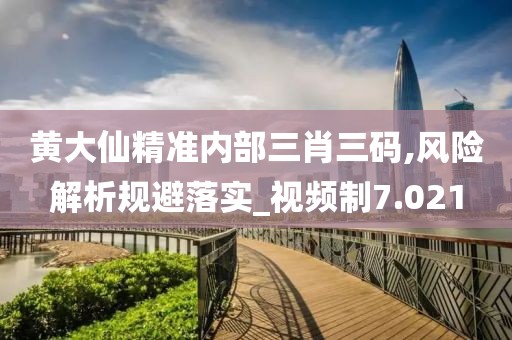 黄大仙精准内部三肖三码,风险解析规避落实_视频制7.021