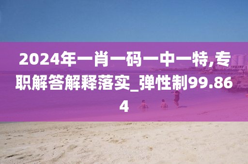 2024年一肖一码一中一特,专职解答解释落实_弹性制99.864