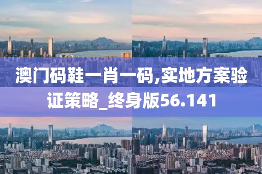 澳门码鞋一肖一码,实地方案验证策略_终身版56.141