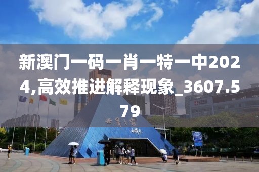 新澳门一码一肖一特一中2024,高效推进解释现象_3607.579