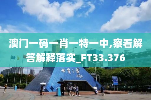 澳门一码一肖一特一中,察看解答解释落实_FT33.376