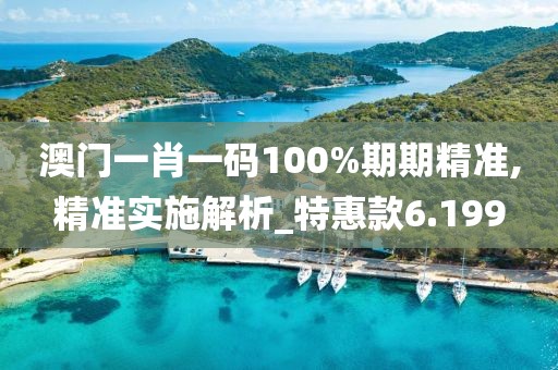 澳门一肖一码100%期期精准,精准实施解析_特惠款6.199