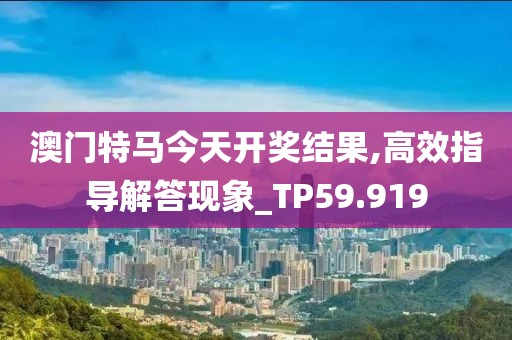 澳门特马今天开奖结果,高效指导解答现象_TP59.919