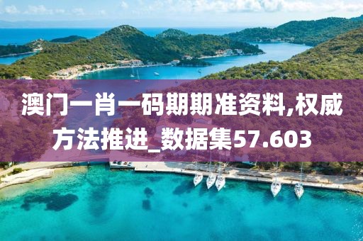 澳门一肖一码期期准资料,权威方法推进_数据集57.603