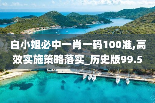 白小姐必中一肖一码100准,高效实施策略落实_历史版99.5