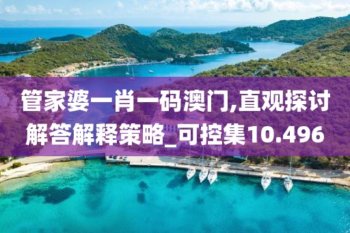 管家婆一肖一码澳门,直观探讨解答解释策略_可控集10.496