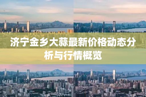 济宁金乡大蒜最新价格动态分析与行情概览