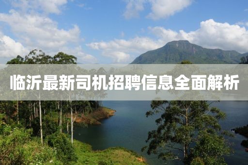 临沂最新司机招聘信息全面解析