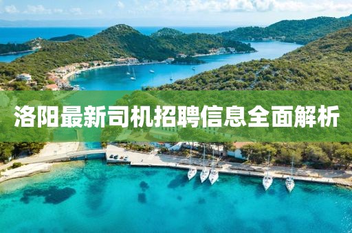 洛阳最新司机招聘信息全面解析