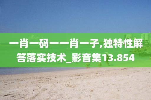 一肖一码一一肖一子,独特性解答落实技术_影音集13.854