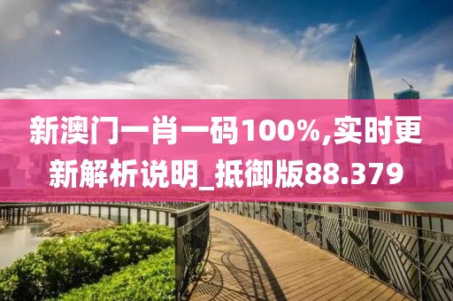 新澳门一肖一码100%,实时更新解析说明_抵御版88.379