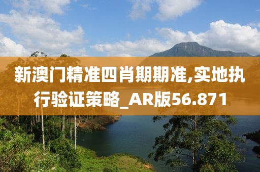 新澳门精准四肖期期准,实地执行验证策略_AR版56.871
