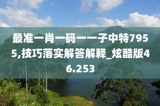 最准一肖一码一一子中特7955,技巧落实解答解释_炫酷版46.253