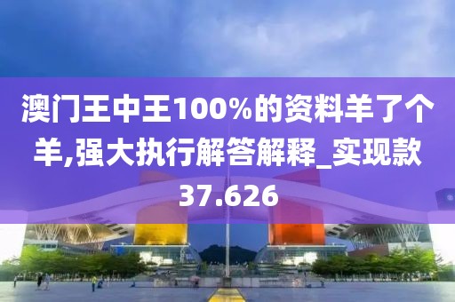 澳门王中王100%的资料羊了个羊,强大执行解答解释_实现款37.626