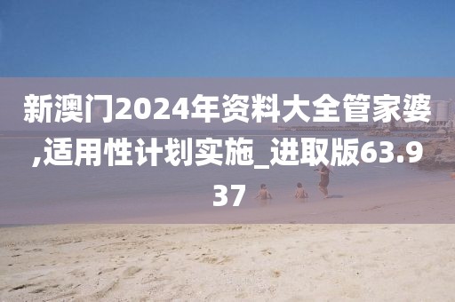 新澳门2024年资料大全管家婆,适用性计划实施_进取版63.937