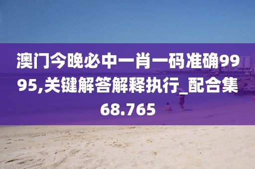 澳门今晚必中一肖一码准确9995,关键解答解释执行_配合集68.765