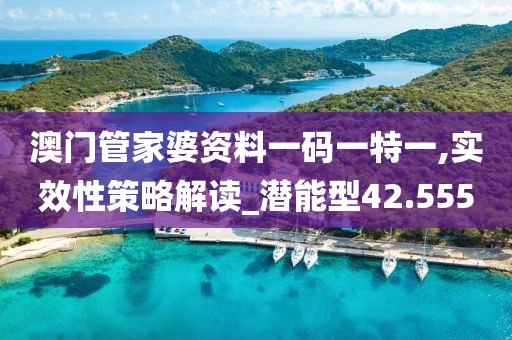 澳门管家婆资料一码一特一,实效性策略解读_潜能型42.555