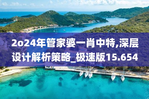 2o24年管家婆一肖中特,深层设计解析策略_极速版15.654