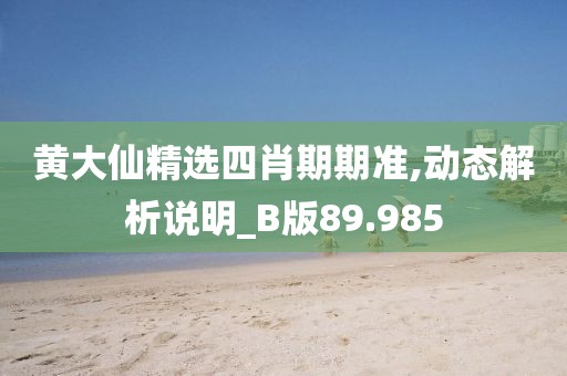 黄大仙精选四肖期期准,动态解析说明_B版89.985