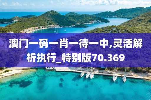 澳门一码一肖一待一中,灵活解析执行_特别版70.369