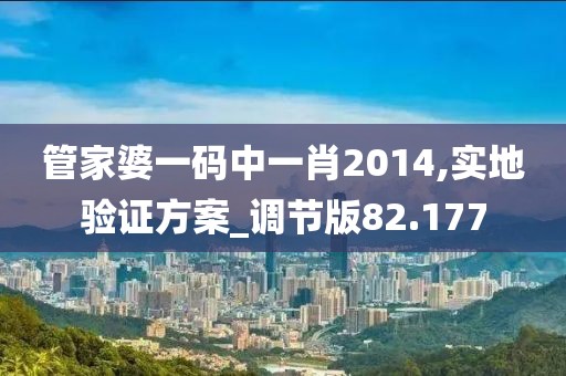 管家婆一码中一肖2014,实地验证方案_调节版82.177