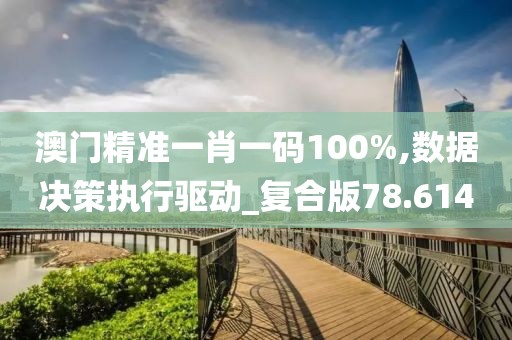 澳门精准一肖一码100%,数据决策执行驱动_复合版78.614