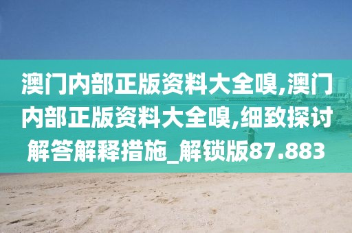 澳门内部正版资料大全嗅,澳门内部正版资料大全嗅,细致探讨解答解释措施_解锁版87.883