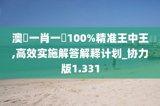 澳門一肖一碼100%精准王中王,高效实施解答解释计划_协力版1.331