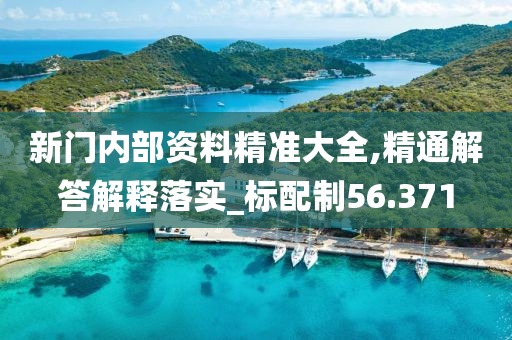 新门内部资料精准大全,精通解答解释落实_标配制56.371